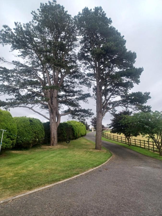 纽卡斯尔Loughview Retreat In The Mournes公寓 外观 照片